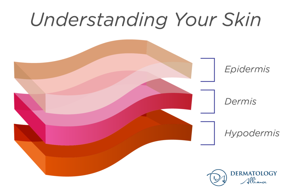 How to Thicken Your Skin: Causes & Treatments for Thin Skin