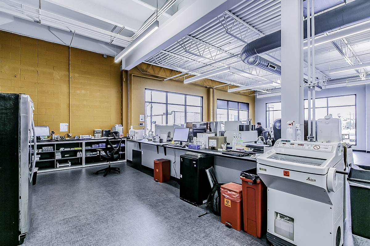 Dermatopathology Lab Epiphany Dermatology